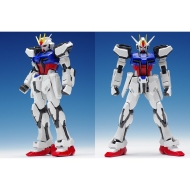 Mobile Suit Gundam SEED – RG 1/144 – Aile Strike Gundam Model Kit